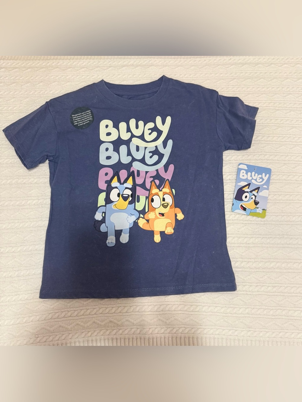 Bluey Navy Short Sleeve Graphic Tee - Bluey